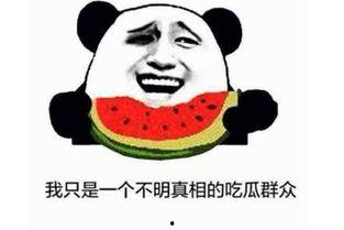 吃瓜大王是什么意思,网络热词背后的文化现象